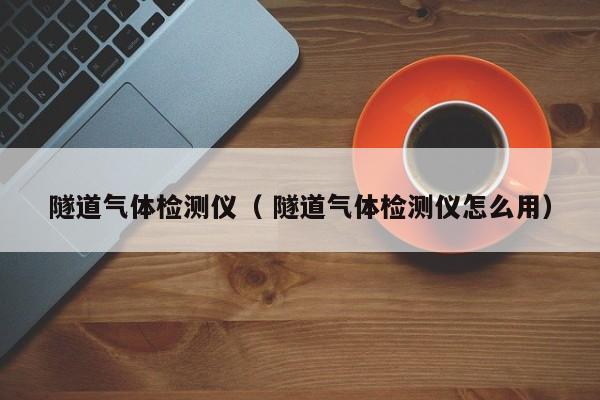 隧道氣體檢測(cè)儀（ 隧道氣體檢測(cè)儀怎么用）